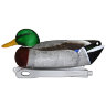 Hard Core Floating Mallard Duck Decoy