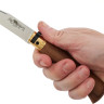 Нож Old Bear Classic M Walnut