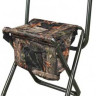 Складной стул Allen Folding Stool w/Back.