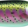 Блешня Rapala Nauvo 66mm 19.0g RT