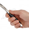 Ніж Kershaw Brandywine