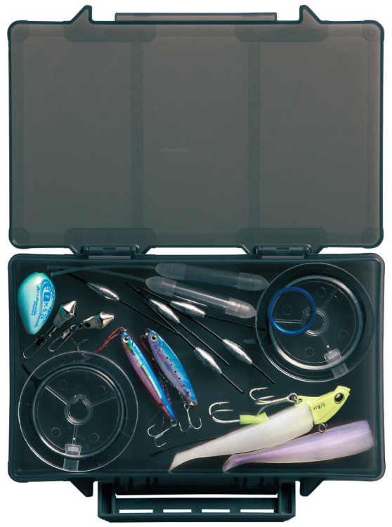 Коробка DaiichiSeiko MC Case #195F к:foliage green