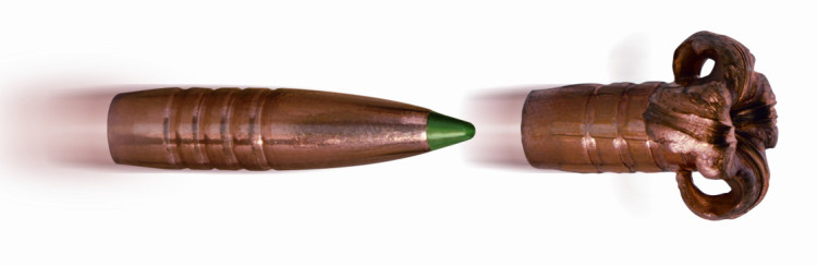 Патрон Blaser CDC кал. 9,3х62 пуля CDC масса 16,2 грамм/ 250 гран