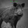 Цифровой бинокль ATN Binox 4k 4-16x c лазерным дальномером