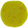 Бойли Brain Pop-Up F1 Wild Honey (мед) 8mm 20g