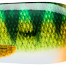 Блешня Rapala Nauvo 66mm 19.0g PEL