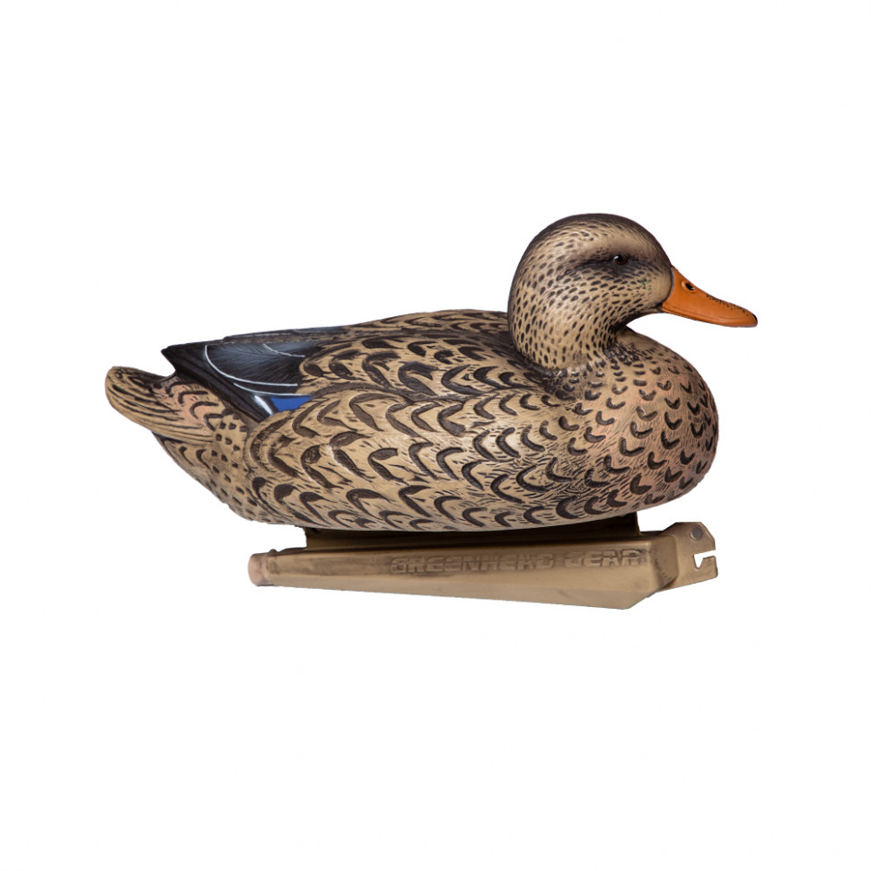 гринхед чучела уток. чучело гринхед. гринхед чучела уток. чучело гринхед. гринхед.