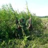 mkhr_ozimka_7.jpg