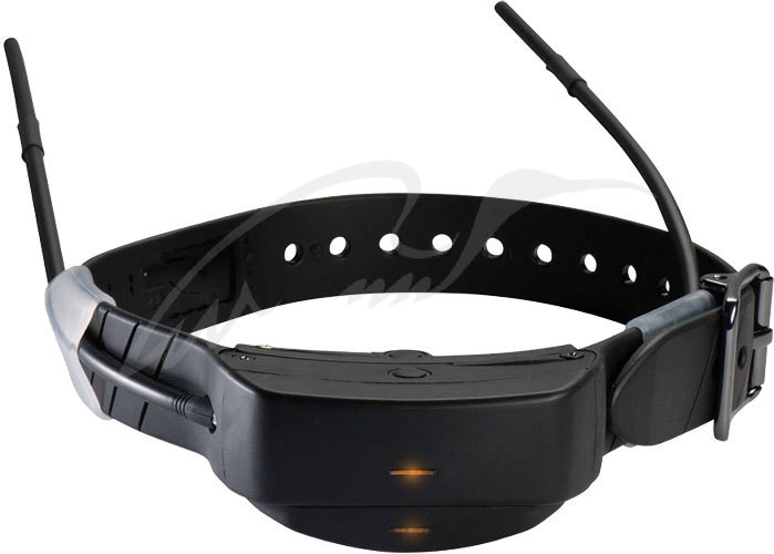 Електро нашийник SportDOG для TEK-V1LT-E
