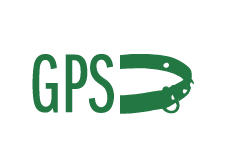 GPS ошейник SportDOG для TEK-V1L-E