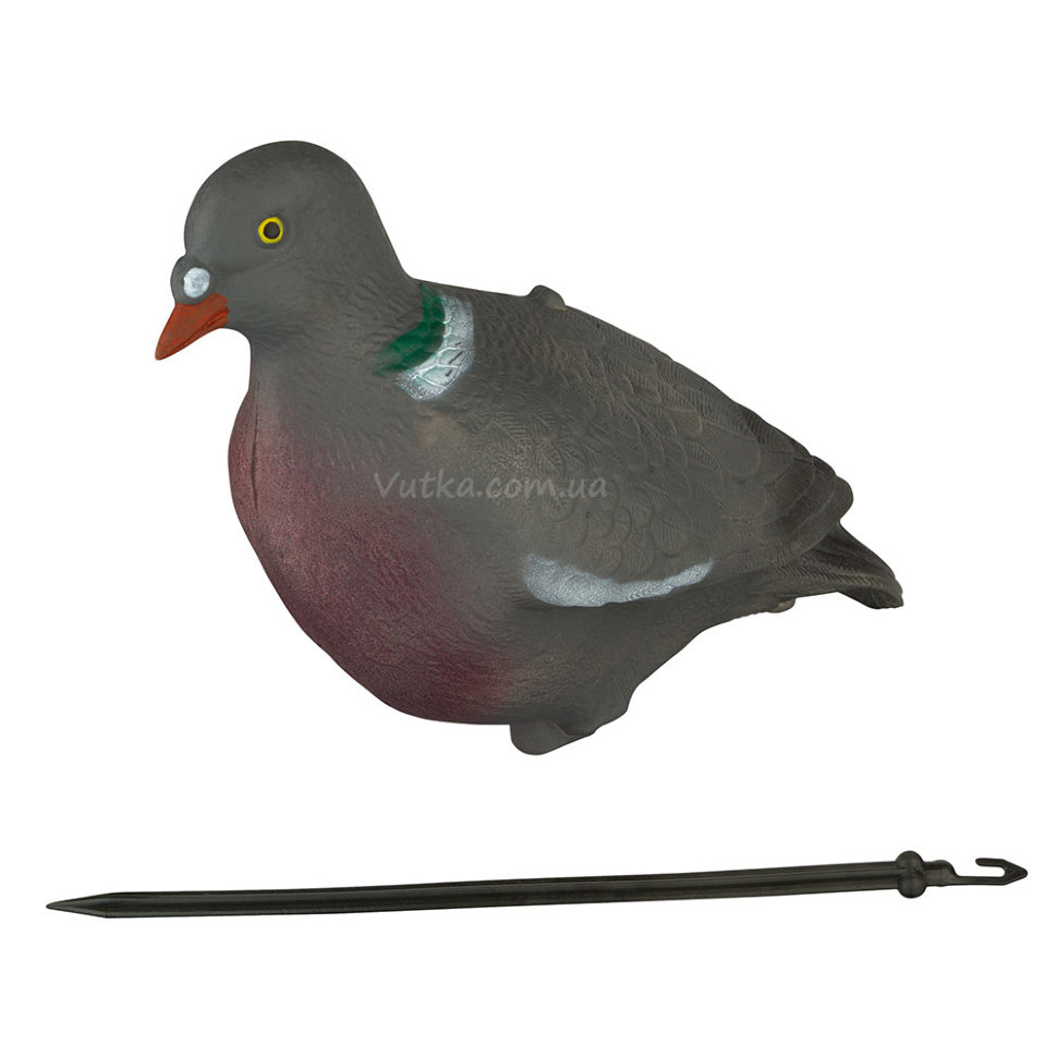 голубь вяхирь чучела спорт пласт скорлупа. голубь вяхирь чучела спорт пласт скорлупа. профиль голубя вяхиря. лесной голубь sport plast im-208. вяхирь чучела.