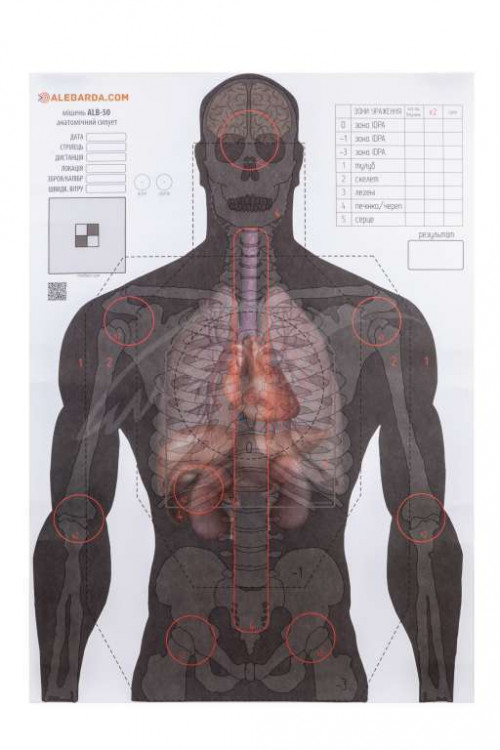 Мишень Алебарда "Анатомический силуэт" ALB-50