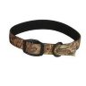Нашийник Avery® Standart Colar
