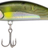 Воблер DUO Spearhead Ryuki 45S Awabi 45mm 4.0 g DNH4042 Ayu AM Воблер DUO Spearhead Ryuki 45S Awabi 45mm 4.0 g DNH4042 Ayu AM