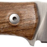 Нож Lionsteel M4 Walnut